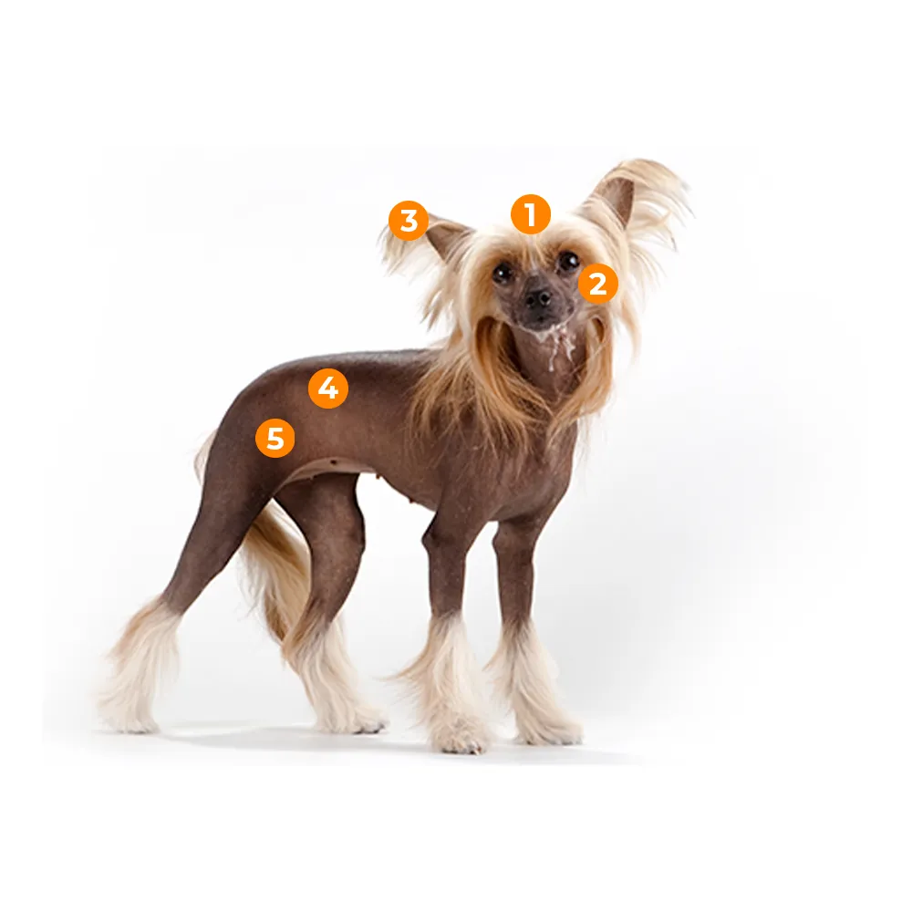 caracteristicas fisicas